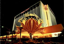Flamingo Hotel & Casino Postcard