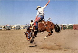 Saddle Bronc Rider McDermitt, NV Postcard Postcard