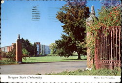 Oregon State University Corvallis, OR Postcard Postcard