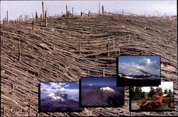 Mount St. Helens Postcard