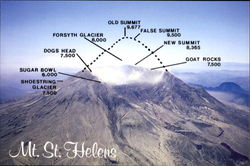 Mt. St. Helens Postcard