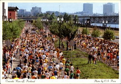 Cascade Run-Off Postcard
