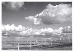 Stock #137830 Thumbnail