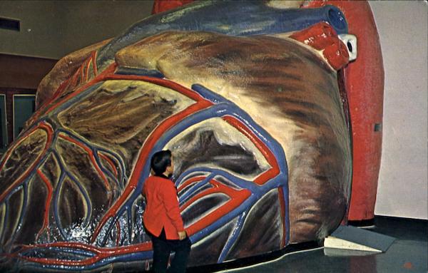 Walk-In Heart Portland Oregon Doctors & Medicine