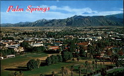 Palm Springs Postcard