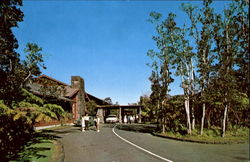 The Volcano House Hawaii Postcard Postcard