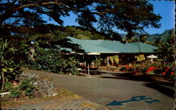 Waioli Tea Room Postcard