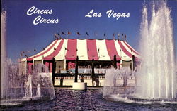 Circus Circus Postcard