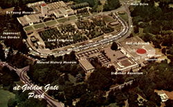 Golden Gate Park Postcard