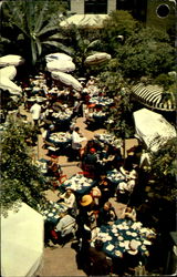 Outdoor Restaurant Postcard