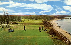 Golfers Paradise And Pebble Beach, North Road East Postcard