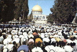 Jerusalem Postcard