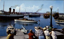 Causeway Overlooking The Inner Harbour Postcard