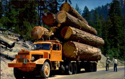 Logging Truck Logging Truck