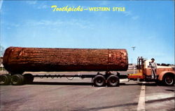 Toothpicks Western Style Toothpicks Western Style