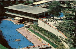 Canada's Mountain Country Postcard