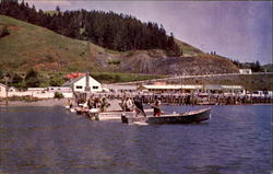 Chinook Salmon Fishing, Highway 101 Postcard