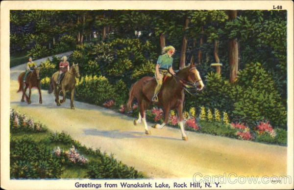 Greetings From Wanaksink Lake Rock Hill New York