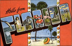 Hello From Florida Postcard