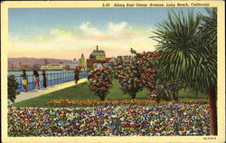 Along East Ocean Avenue Long Beach, CA Postcard Postcard