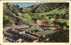 The Bird Park Postcard