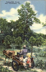 Fishing-Hole Bound Postcard