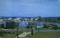 Oak Bluffs Harbor Postcard