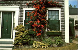 Rose Cottage Postcard