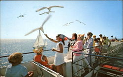 It's Fun Either Way Coming Or Going To The Islands, Martha's Vineyard Nantucket, MA Postcard Postcard