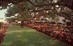 Pineland Farm & Greenhouses, 25 Crocker Road Falmouth, MA Postcard Postcard