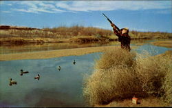 Duck Hunting Postcard Postcard