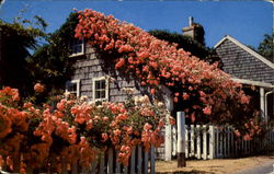 Typical Rose Covered Cottage Along The Quaint Streets Postcard