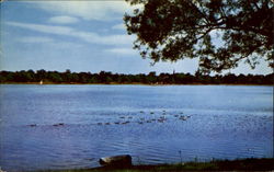 Jamaica Pond Boston, MA Postcard Postcard