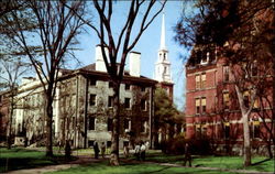 Harvard Yard, Harvard University Postcard