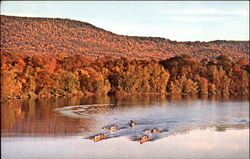 Northfield Mount Hermon School Postcard