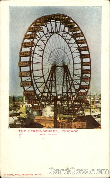 The Ferris Wheel Chicago Illinois