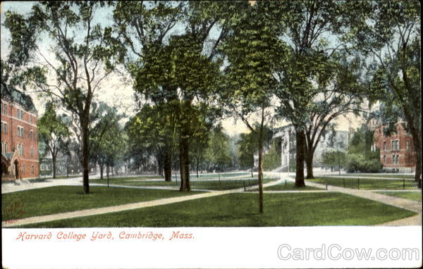 Harvard College Yard Cambridge Massachusetts