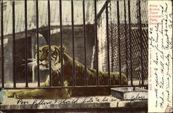 Stock #140280 Thumbnail