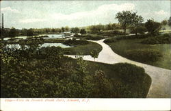 View In Branch Brook Park Newark, NJ Postcard Postcard