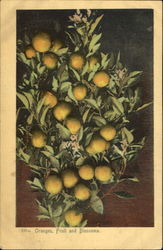 Oranges Fruit And Blossoms Postcard