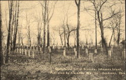 Confederate Burial Grounds, Johnson's Island Marblehead, OH Postcard Postcard