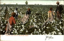 Stock #140435 Thumbnail