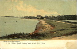 Nobska Beach Woods Hole, MA Postcard Postcard