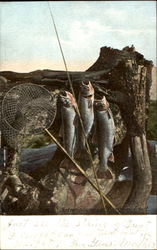 Fishing Catch Postcard Postcard