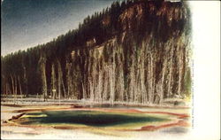 Emerald Pool, Yellowstone Park Yellowstone National Park Postcard Postcard