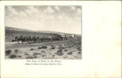 Ten Tons Of Wool On The Desert Postcard