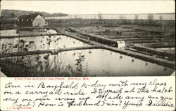 State Fish Hatchery And Ponds Postcard