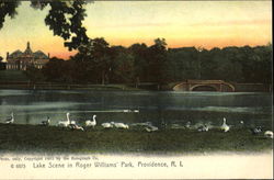 Lake Scene In Roger Williams Park Postcard