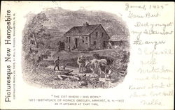 Birthplace Of Horace Greeley Postcard