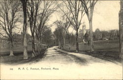 M. A. C. Avenue Amherst, MA Postcard Postcard